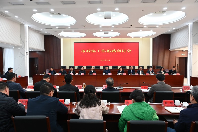 以政协之为助力“十五五”经济社会高质量发展，市政协工作思路研